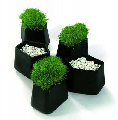 Rock Garden Small Planter by Qui est Paul?-2689