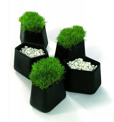 Rock Garden Small Planter by Qui est Paul?-2689