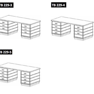 Classic Line 229 Desk by Müller-4114