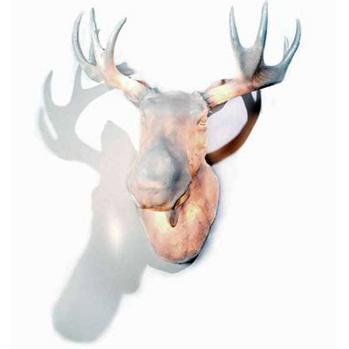 Northern Lighting Moo Wall light -20491