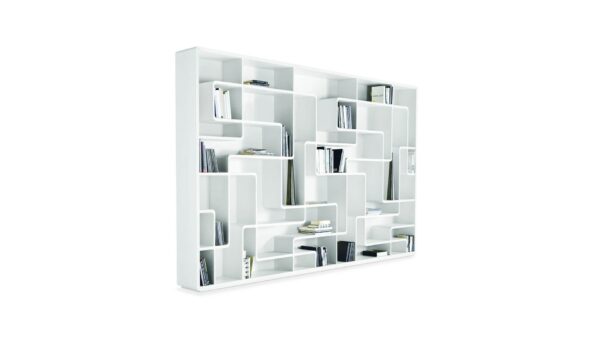 Snake Bookcase By Bross-0