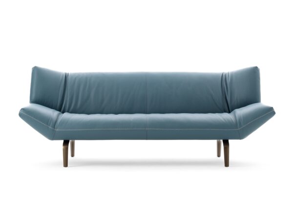 Devon Sofa by Leolux