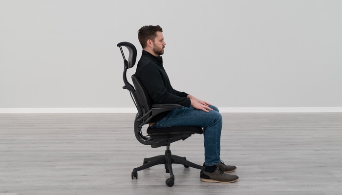 Humanscale Freedom with Headrest Home Office / Office Chair